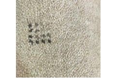Carpet Remnant No.10