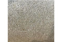 Carpet Remnant No.100