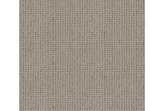 Carpet Remnant No.133