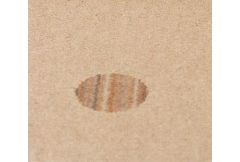 Carpet Remnant No.26