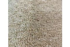 Carpet Remnant No.82